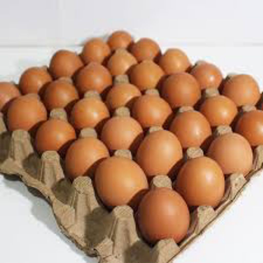 

BEST SELLER telur ayam negeri 1 papan isi 30 butih terlur fress