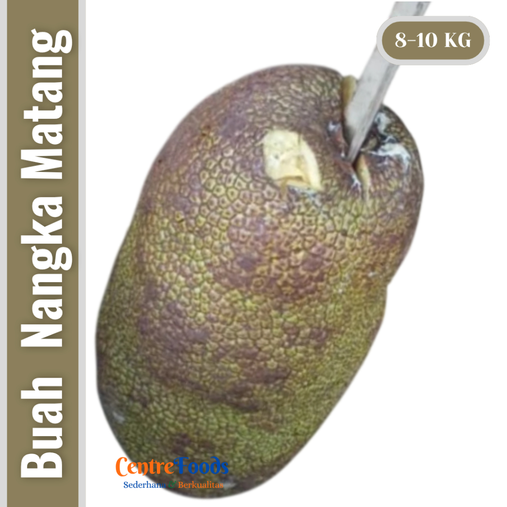 

Buah Nangka Matang Pohon Utuh Bulat - Nangka Mateng Utuh Gelondongan | 1 Buah - 8-10 Kg [ Harga Per PCS ]