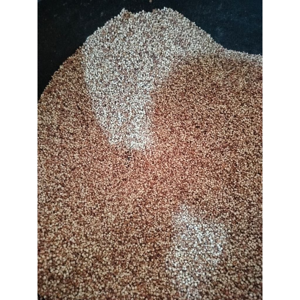 

beras bulir 1 kl sampai 5 kl