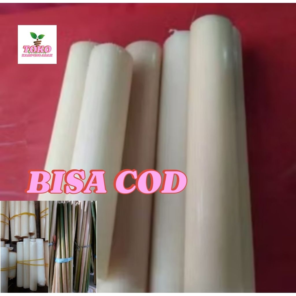 

batang kecombrang 1 kg