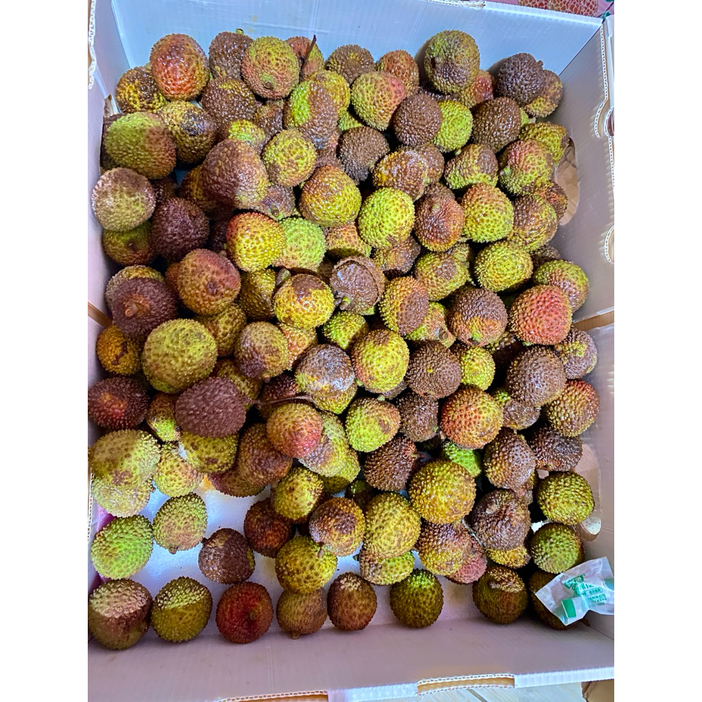 Buah Leci 1 kg