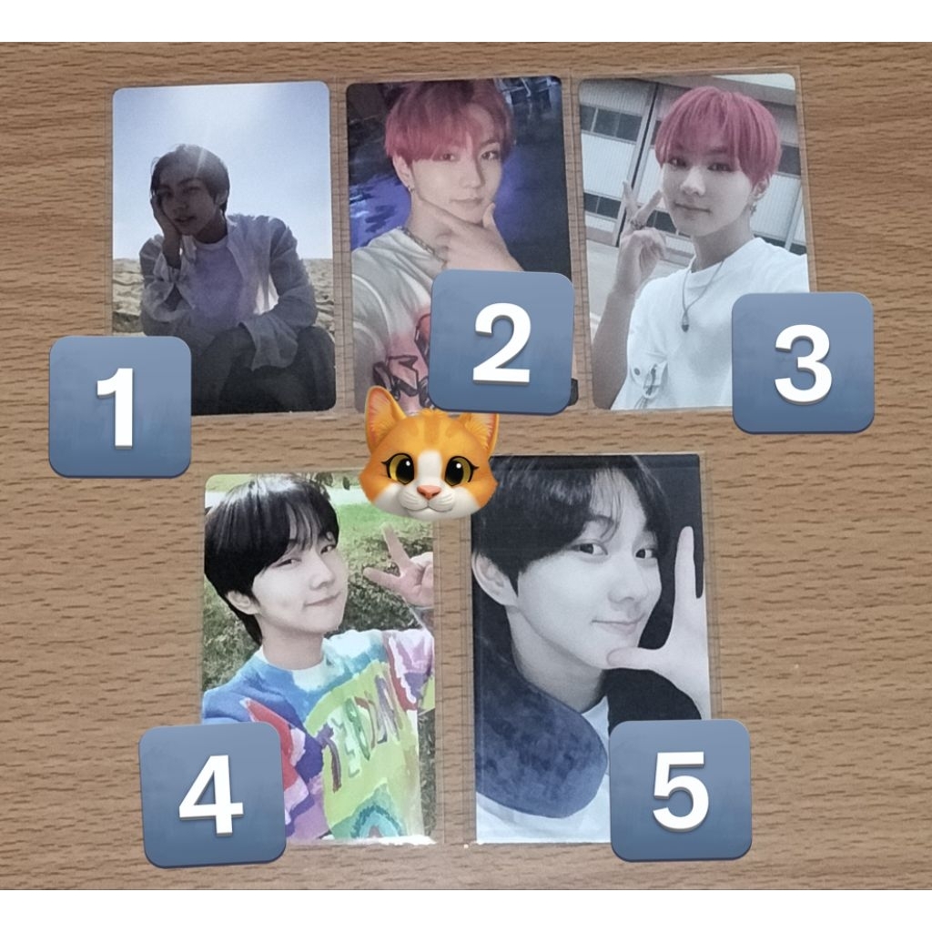 PHOTOCARD ENHYPEN JUNGWON MANIFESTO DAY 1 DIMENSION DILEMMA YANG JUNGWON