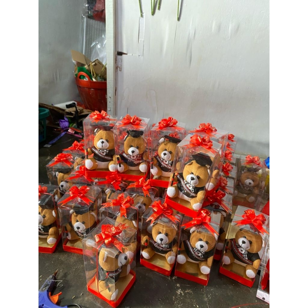 TERLARISSS Boneka Wisuda / Boneka Wisuda Beruang / Hadiah Wisuda / Hadiah Graduation
