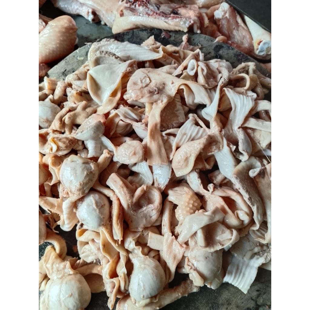 

tembelok ayam/ telli ayam
