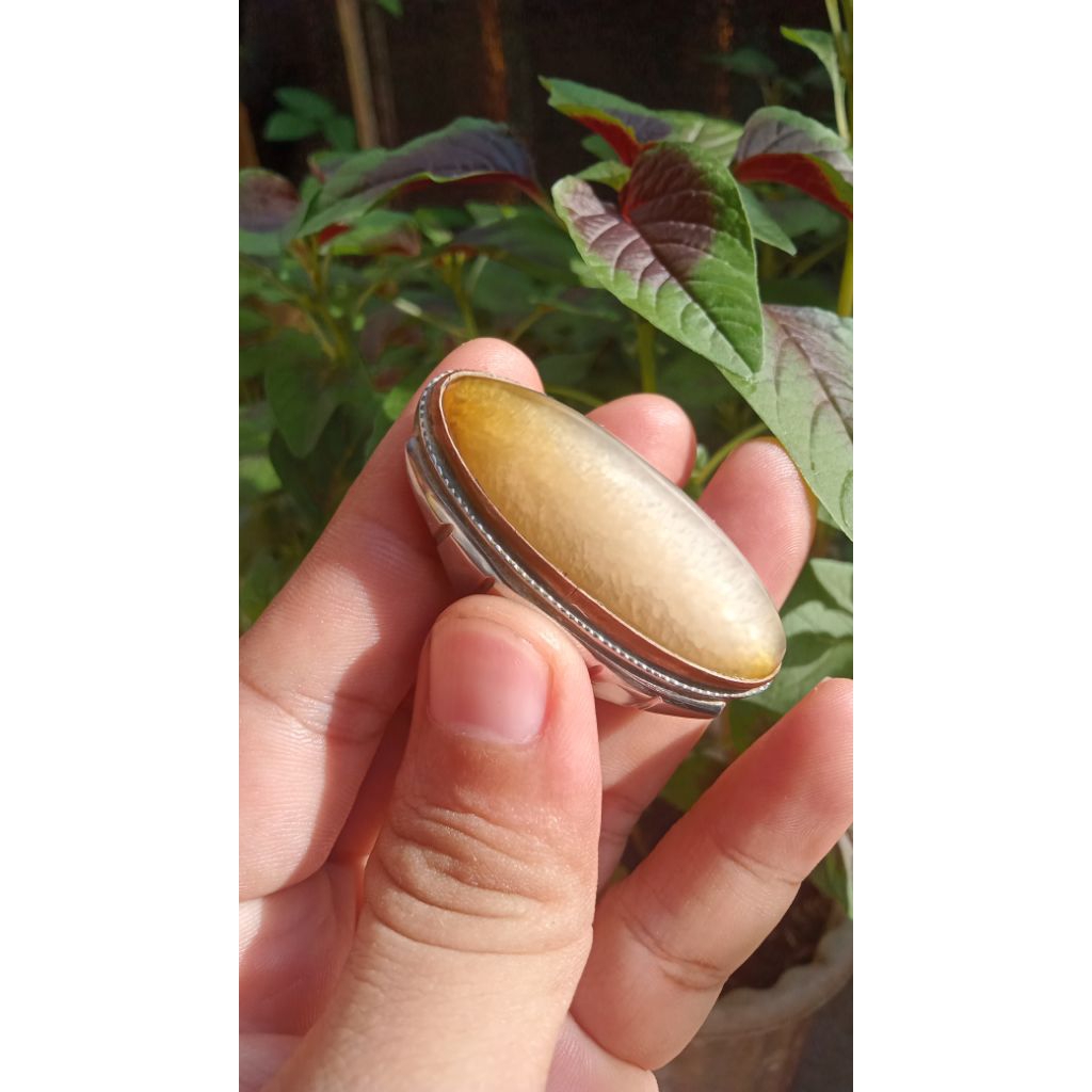 batua akik pandan semu oli