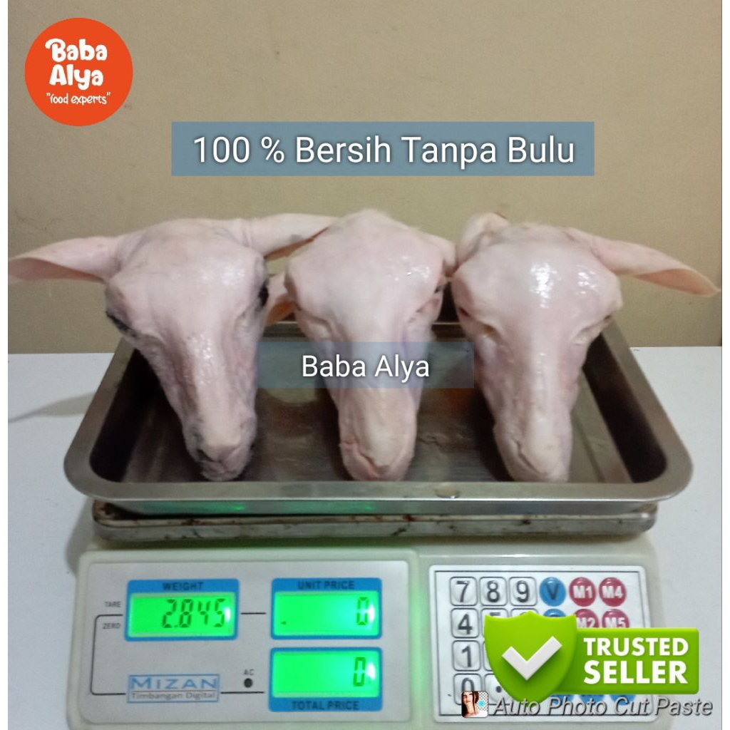 

Kepala Kambing | Segar & Bersih | Termurah Di Indonesia