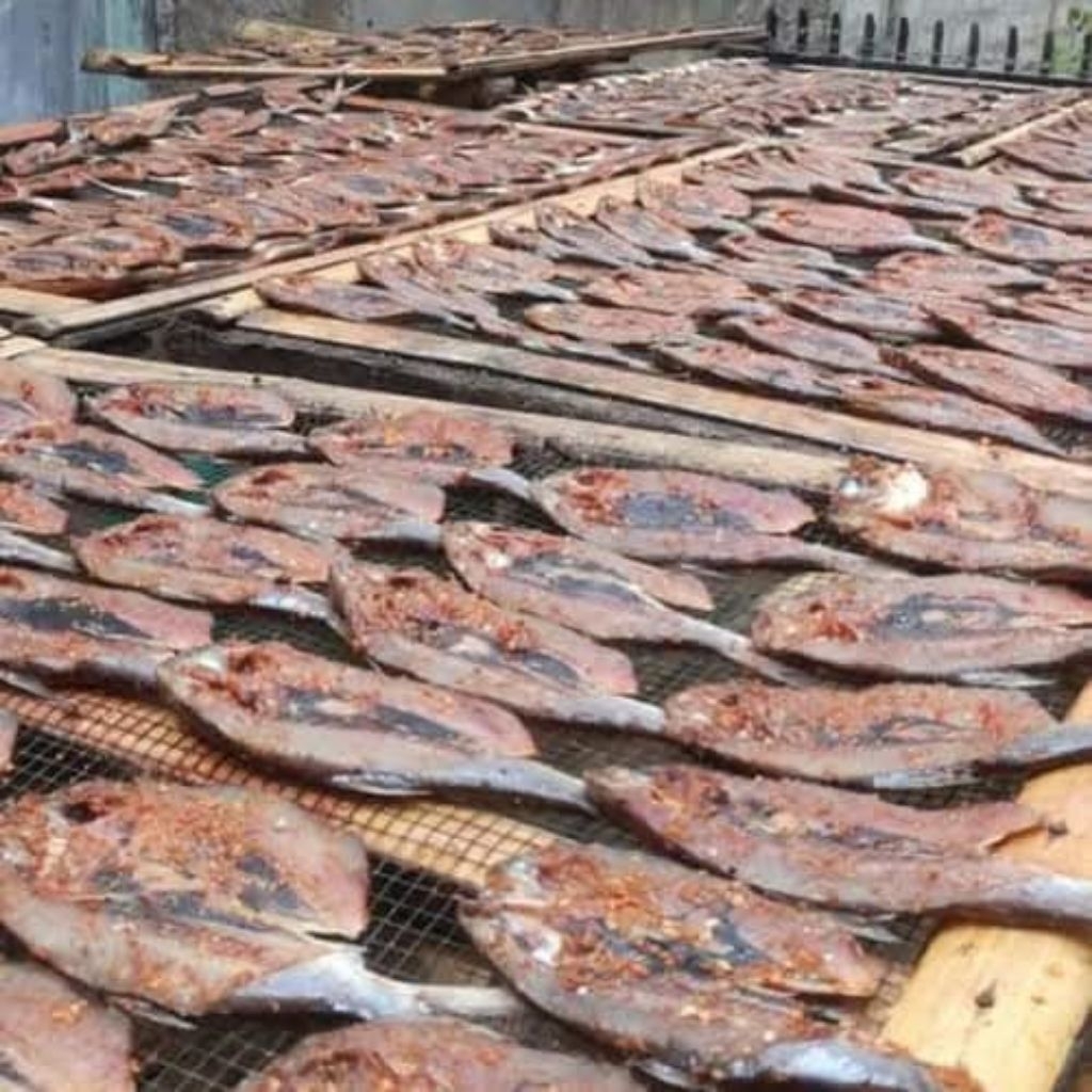 

Dendeng Bandeng Gurih Pedas – Oleh-Oleh Lezat Khas Indonesia harga tertera per pcs