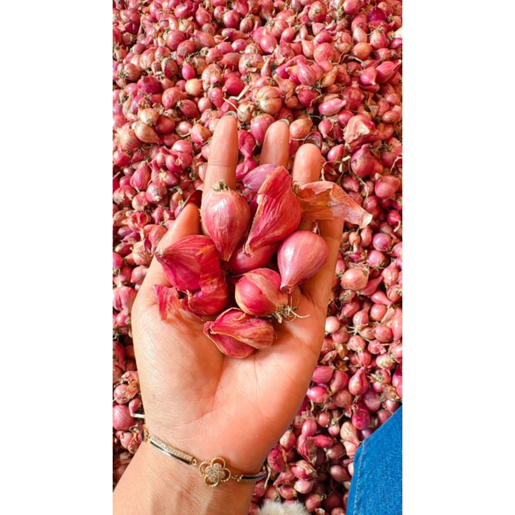 

BAWANG MERAH FREES 1KG