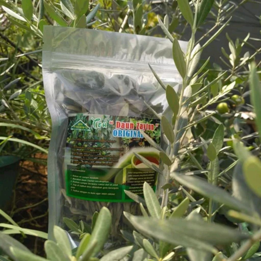 

Zaytun Teh Daun Original 30 Gram - Minuman Sehat & Antioksidan Tinggi - Manfaat Anti-bakteri & Antikanker - Khasiat Tradisional Maroko