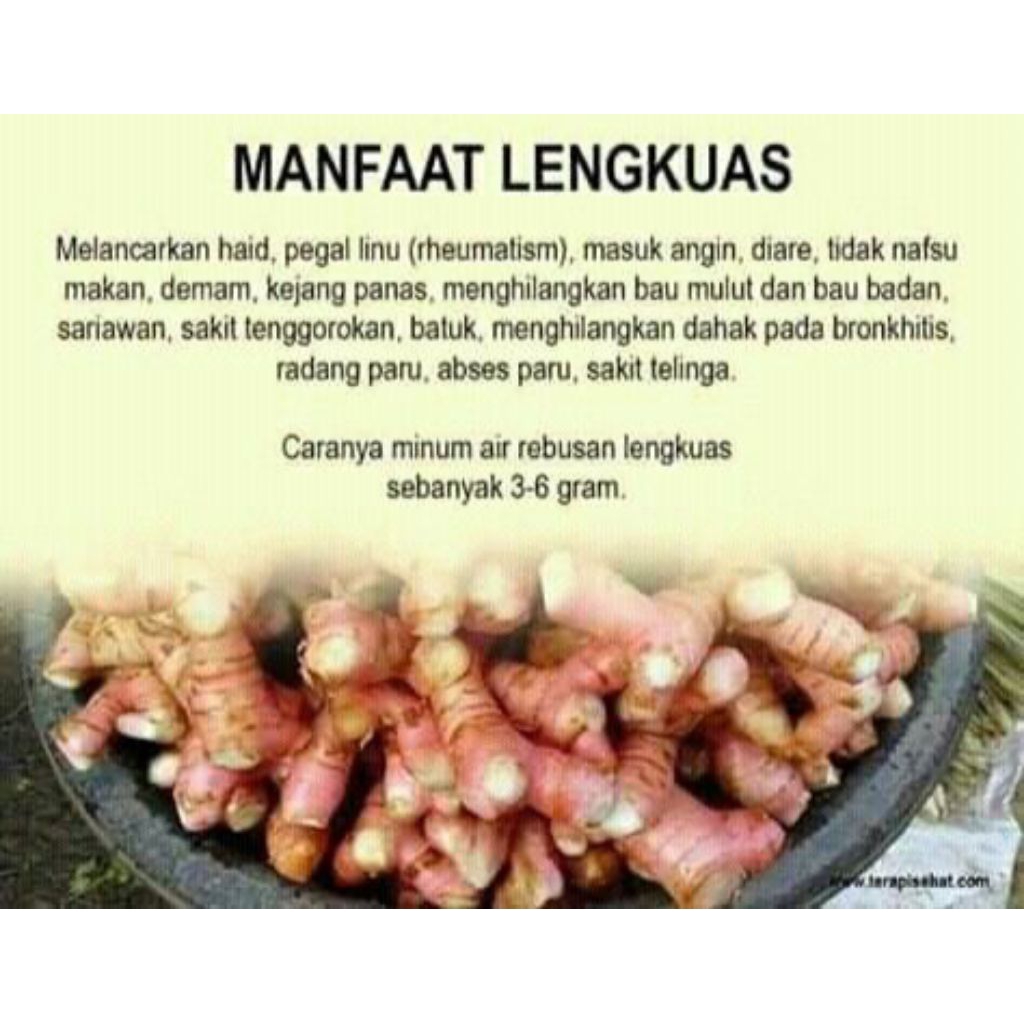 

Lengkuas Iris Kering - Premium Grade Prose (Dikeringkan dengan suhu 75D)- 100g