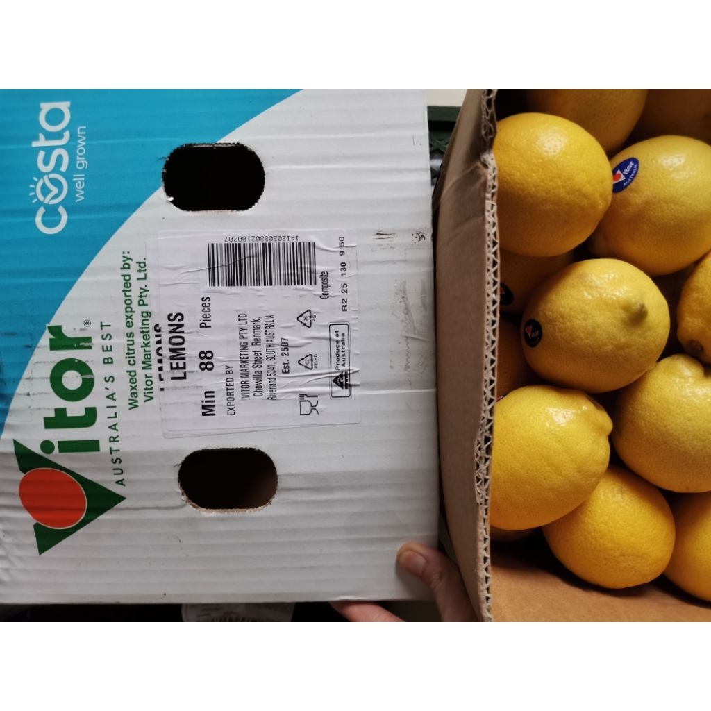 

RB Lemon Import - Lemon Permen - Lemon 1KG