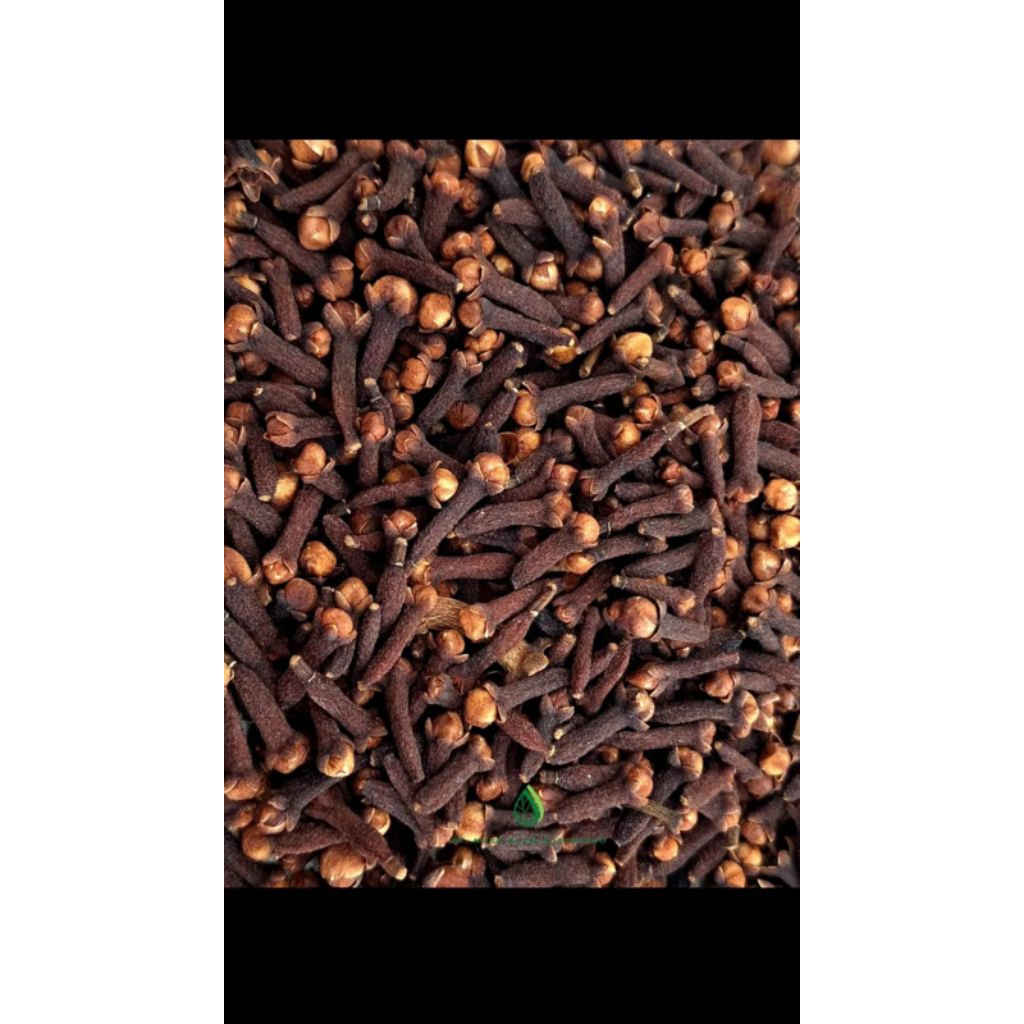 

Cengkeh | Clove 100gr