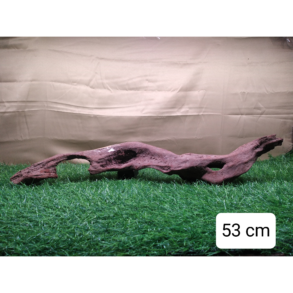 Pureblies_ Kayu Santigi Laut Sudah Tenggelam Aquascape Berkarakter Hardscape