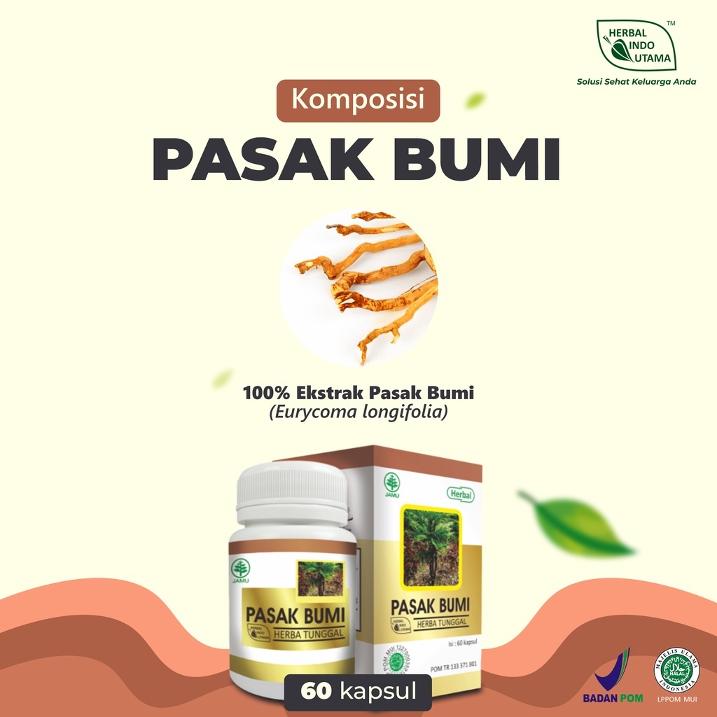 Kapsul Herbal Pasak Bumi HIU Asli Original
