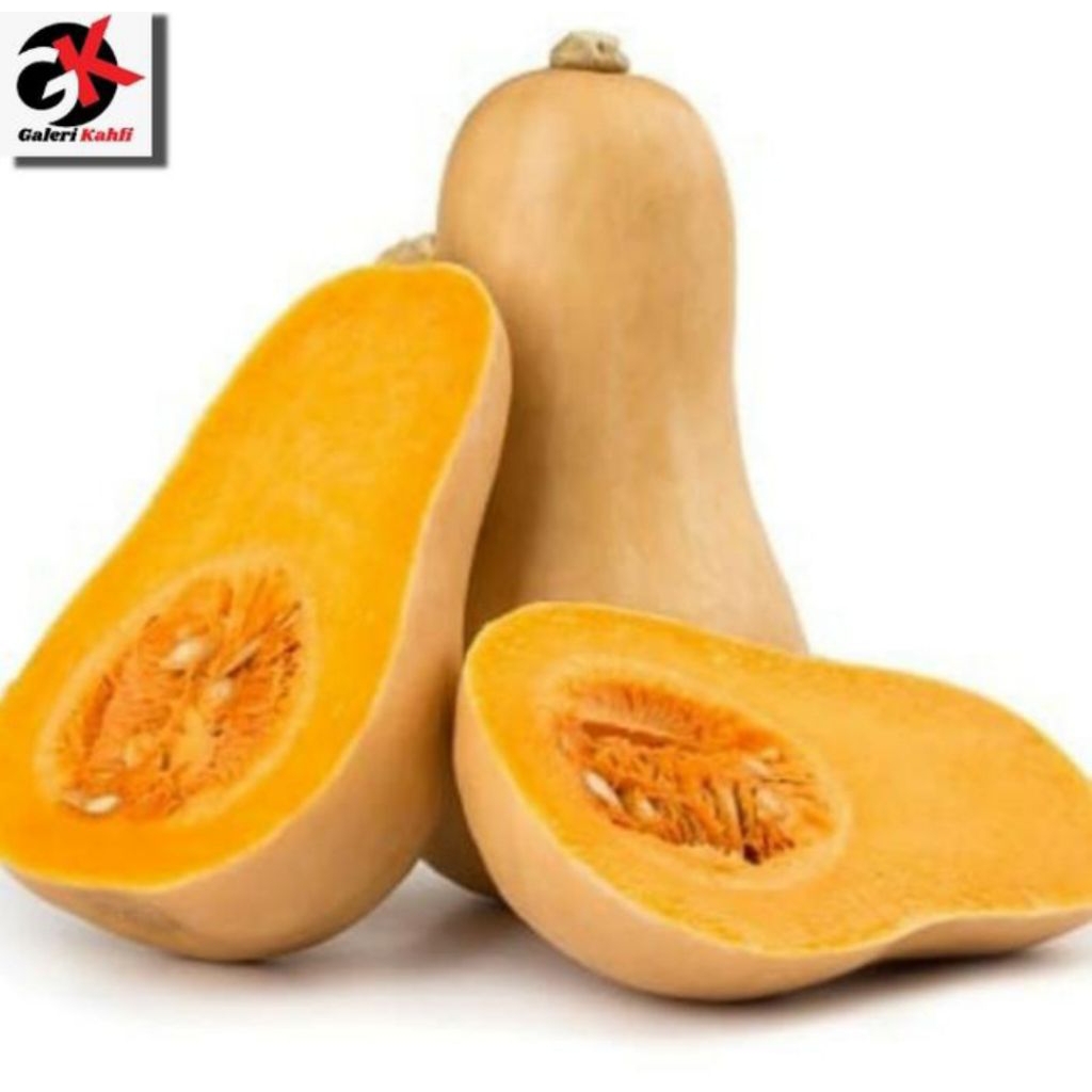 

Butternud Pumkin Segar Berkualitas Grade A _ 500gr
