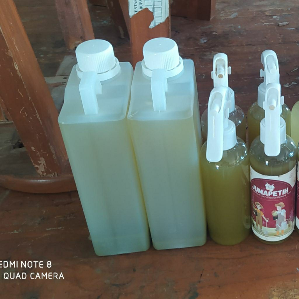 (Pre-Order) BIO-Pestisida Untuk Pengendalian  Hama Thrips Tanaman Cabai