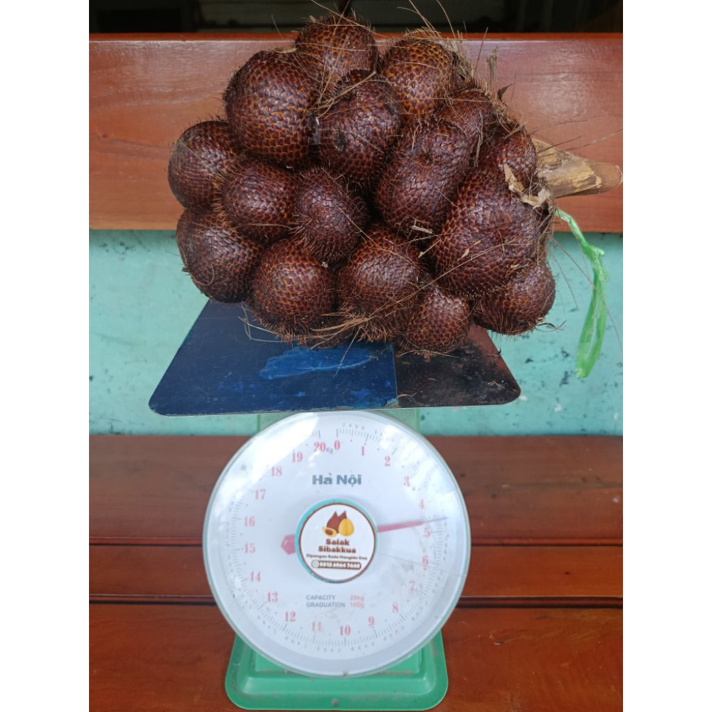 

SalakSidimpuan(1Kg)