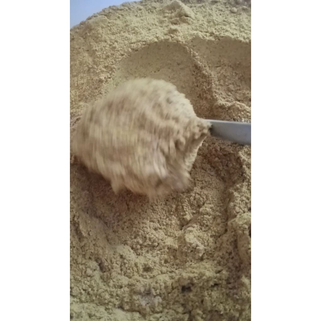

Serbuk Jahe Emprit |Ginger Powder Organik Asli tanpa Campuran 100g