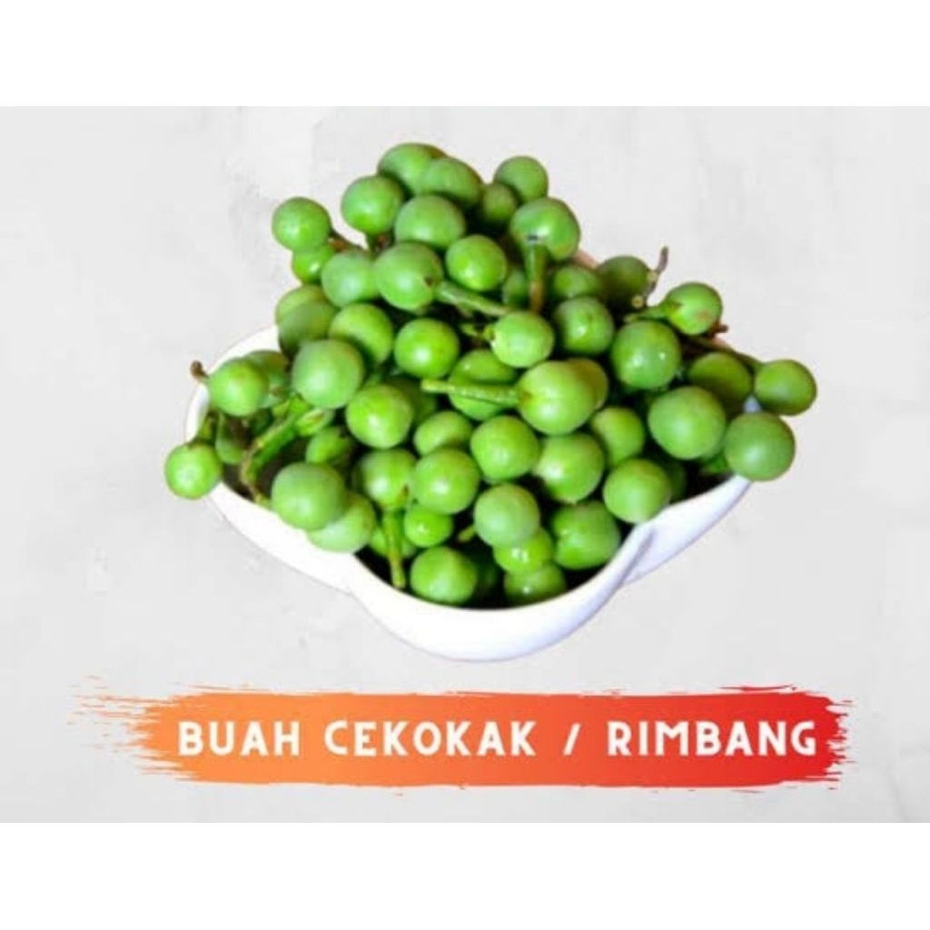 

Buah rimbang segar Cepokak Pokak Buah takokak Terong pipit repack 100gram