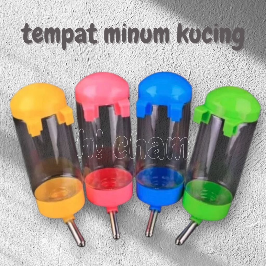 tempat minum kucing