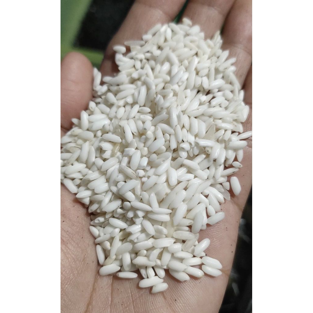 

BERAS KETAN PUTIH UTUH 1KG