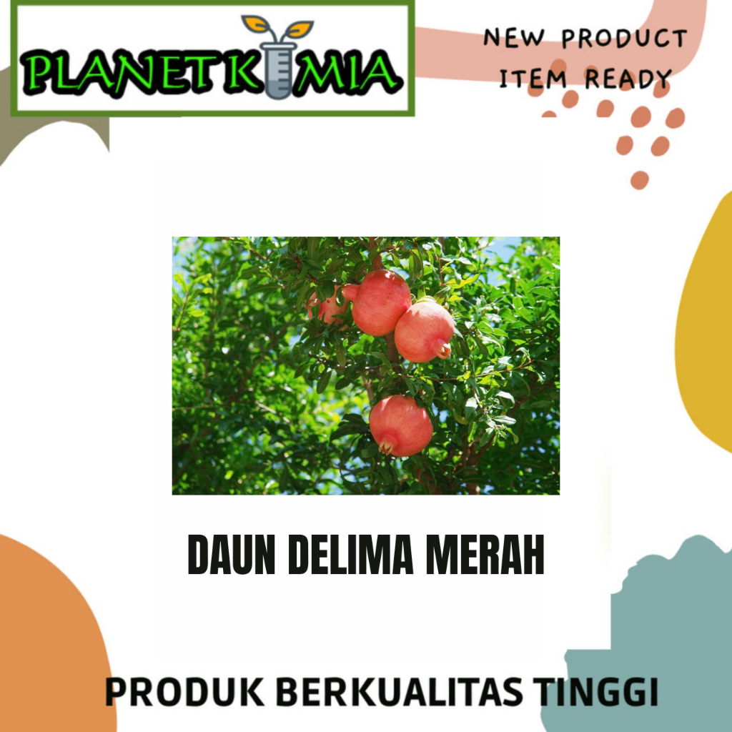 

Daun Demila Merah Organik Per 10 Lembar Best Quality