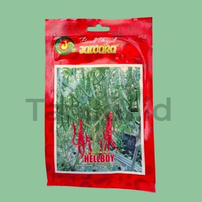 Benih cabe keriting lokal hellboy +- 1900 biji 10 gr