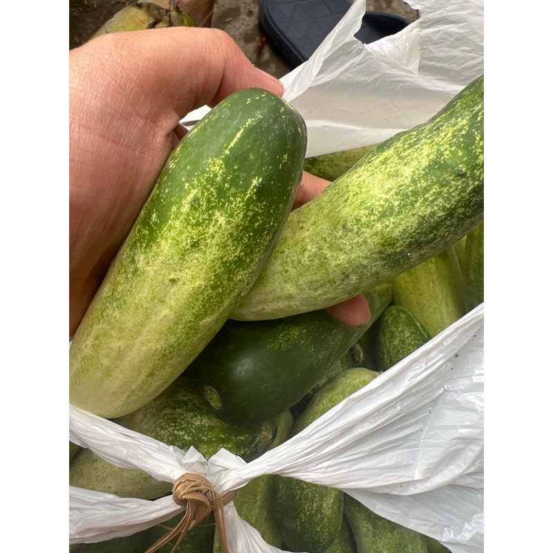 

TIMUN besr 1kg