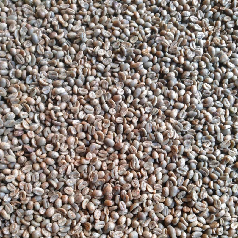 

GreenBean Arabika Sajang