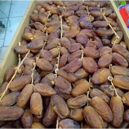 

Kurma Tunisia Tangkai 5kg ARA DATES KEMTAN PREMIUM Kurma Super Premium Fresh