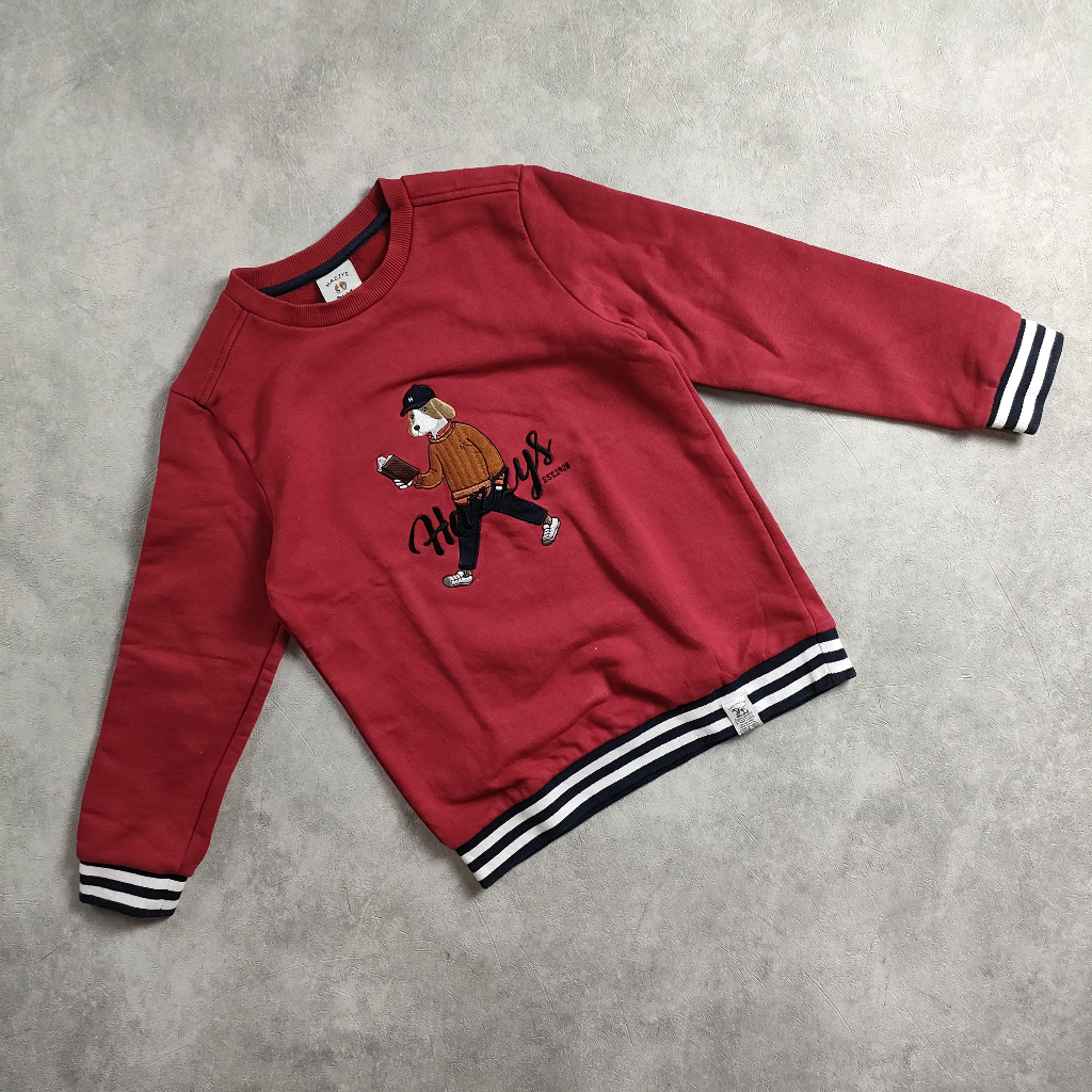 Sweater anak laki-laki brand Hazzys  size 130/ 6 - 7 tahun ( no minus )