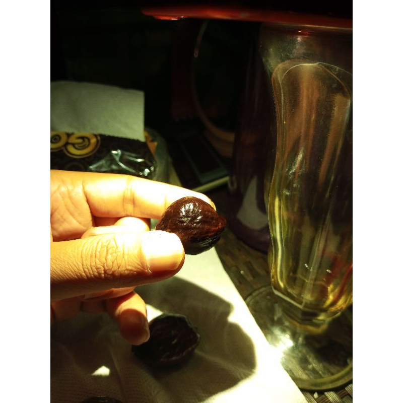 Muncang Adu Jalim Tua Super Alot (liat)