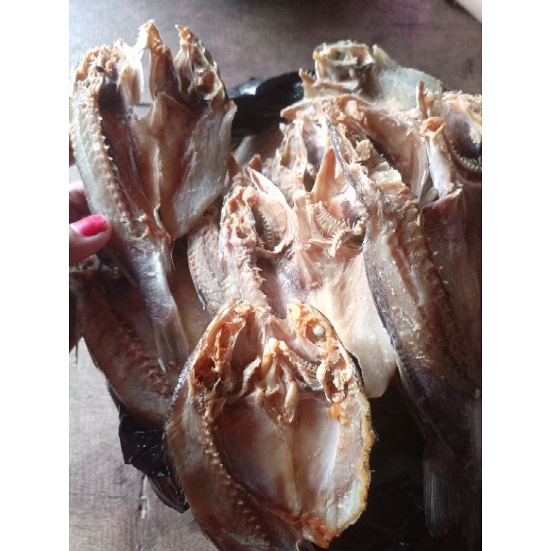 

ikan asin bulama atau ikan kepala batu