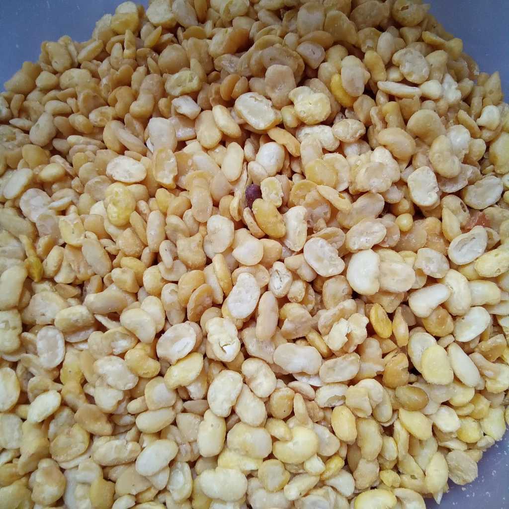 

kacang koro asin 1 kg murah