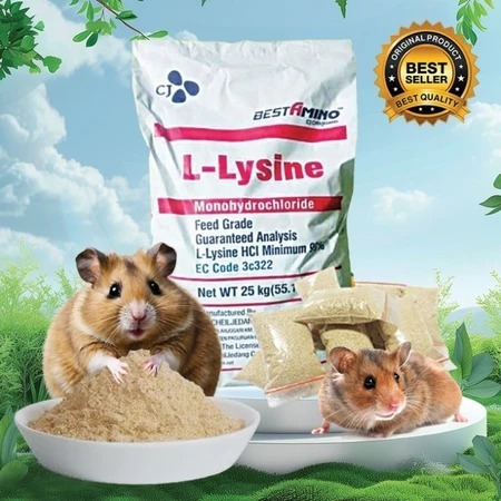 LYSINE MINI - Vitamin Hamster Campuran Makanan Hamster Obat Subur Hamster Penggemuk Penambah Nafsu M