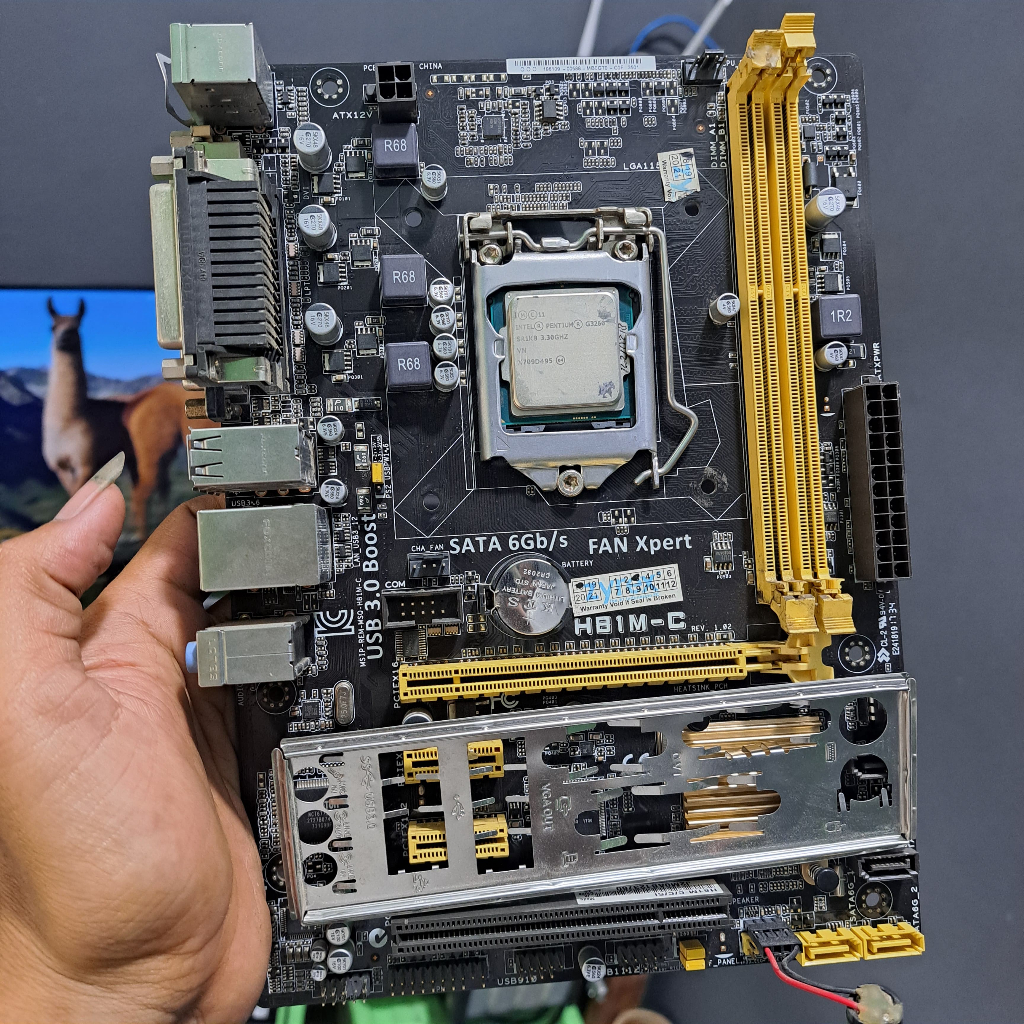 MOBO ASUS H81M - C  & POROSESOR