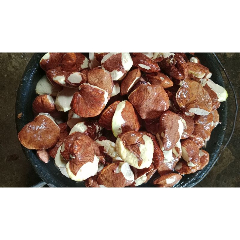 

GAYAM MENTAH SEGAR FRESH UTUH UTUH - GAYAM MENTAH SEGAR FRESH UTUH UTUH