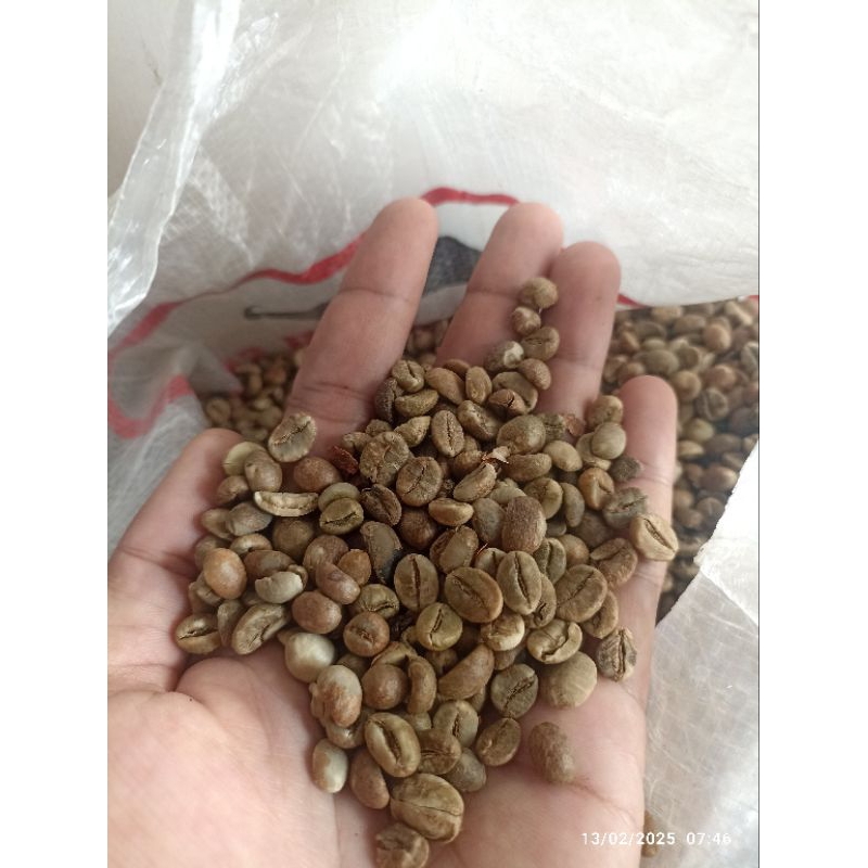

green Bean / biji kopi mentah murah