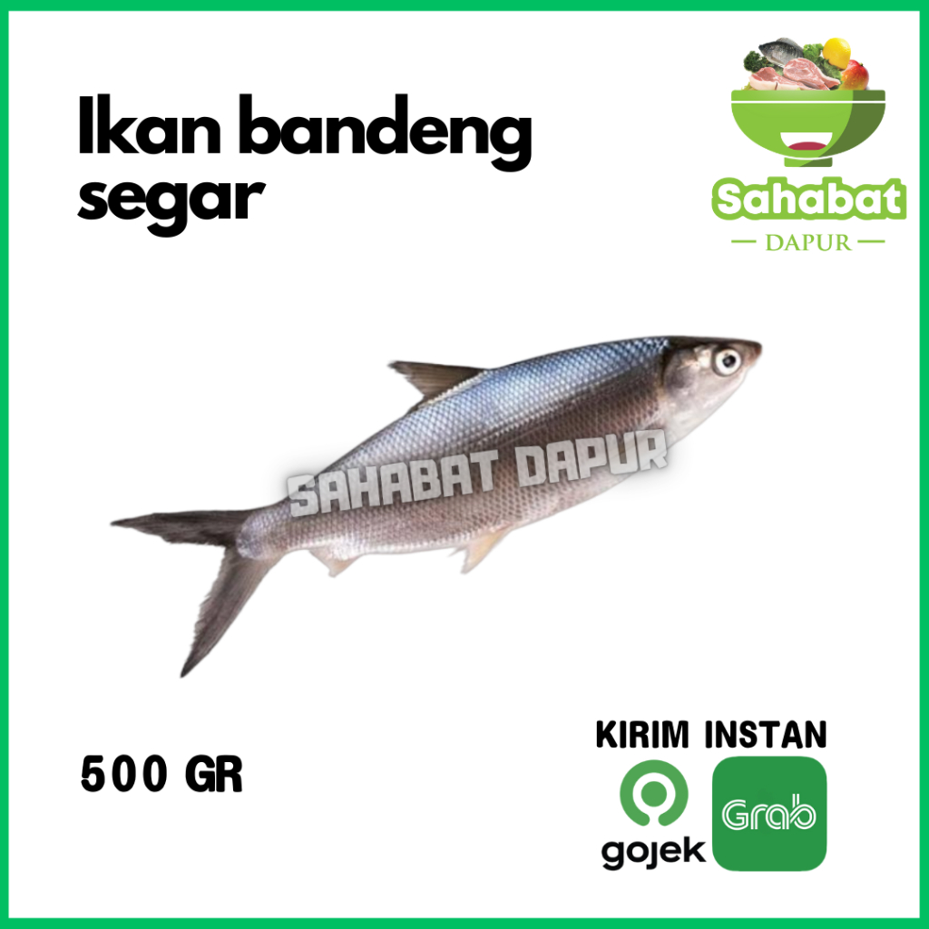 

Ikan Bandeng Segar 500gram