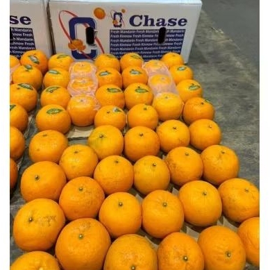 

Buah Jeruk Kinow Chase Per 1 Dus Karton