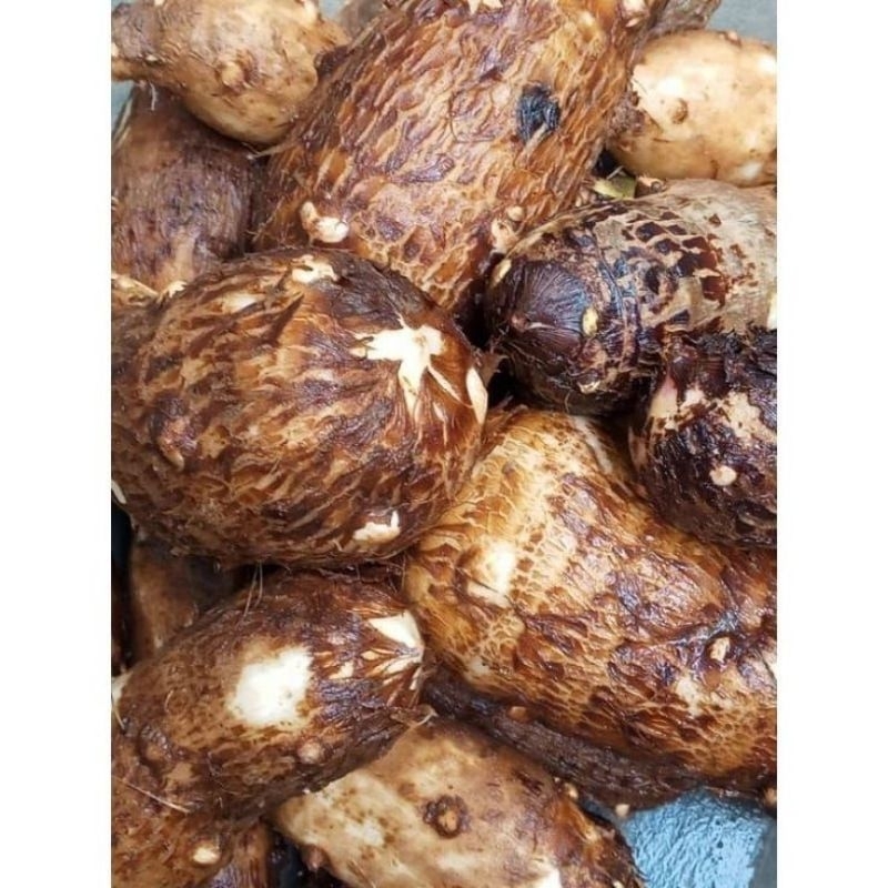 

TALAS/UBI TALAS/TALAS KIMPUL/TALAS 500 GRAM/JADUL/KAMPUNG/SEGAR