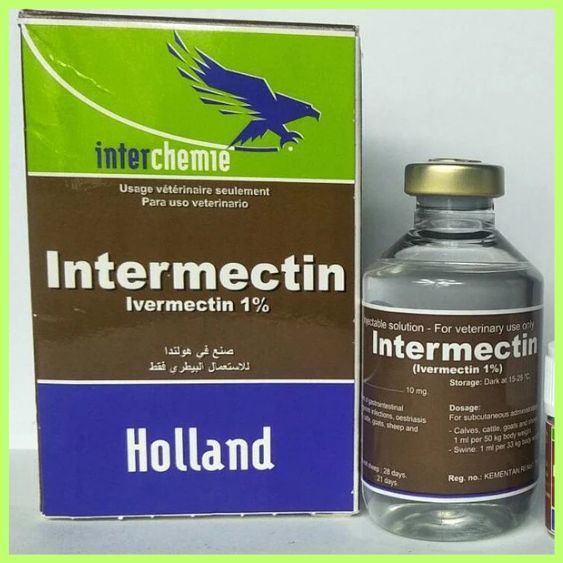 SUPER MURAH Intermectin 50ml Intermectin 50ml Intermectin 5ml, Intermectin Obat Hewan Membunuh paras