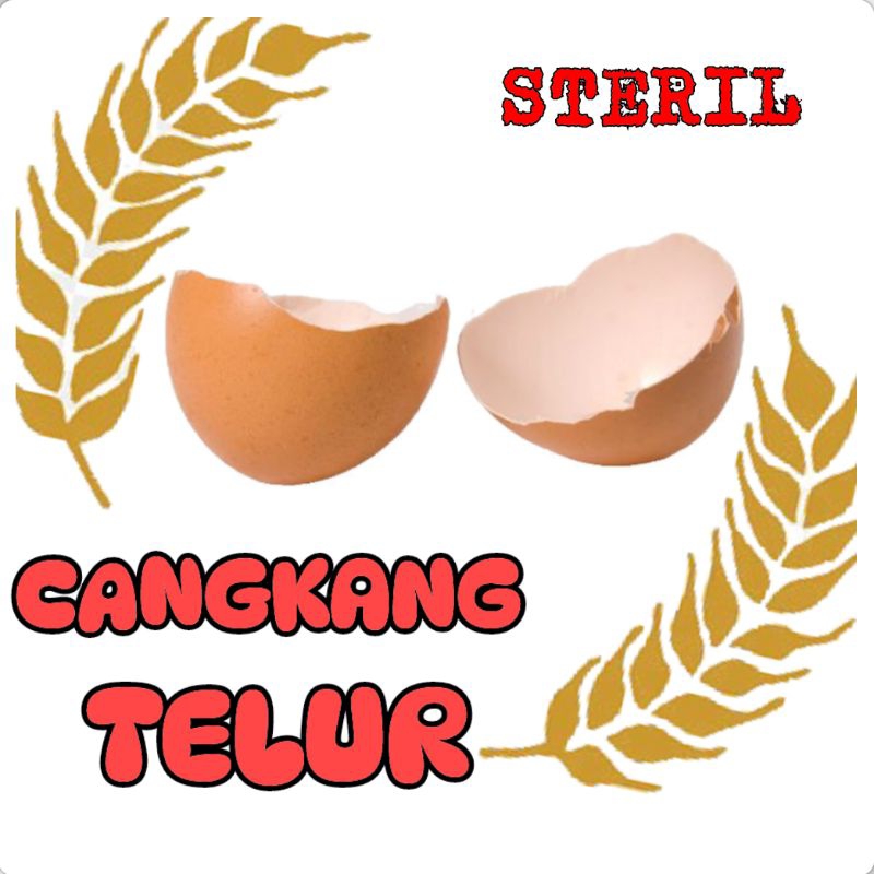 

CANGKANG TELUR BEBEK 1000 Gram