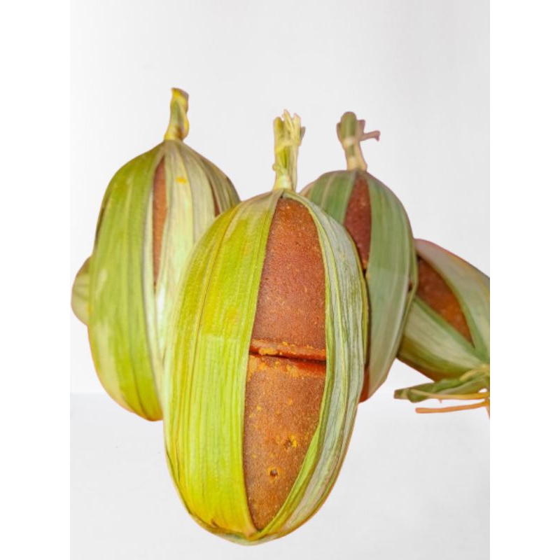 

Gula Aren Super Kwalitas terbaik isi 1 pasang 2 Batok