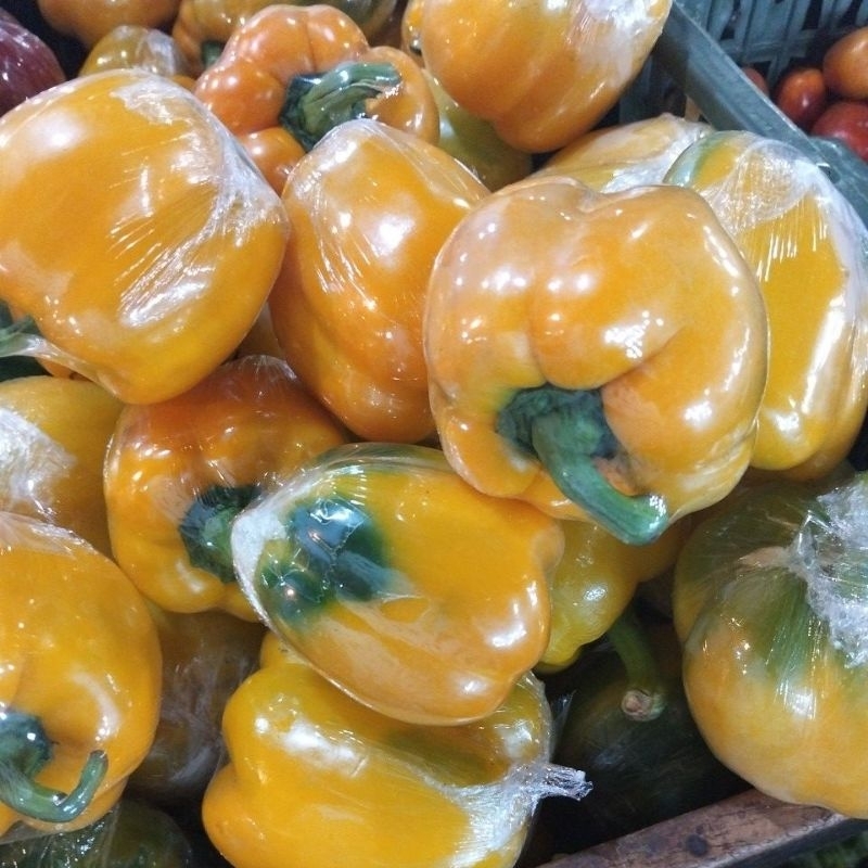

paprika kuning