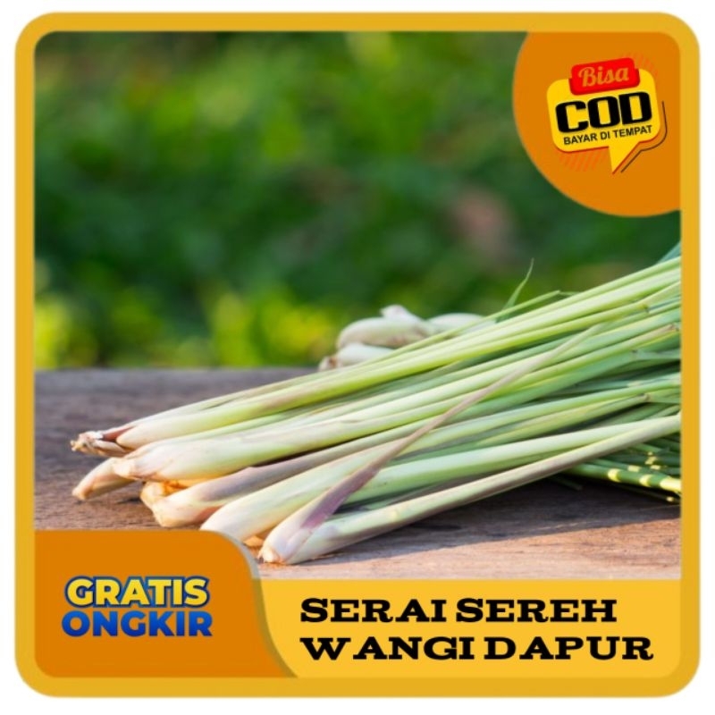 

serai sereh wangi segar 50gram-100gram / serei fresh / sere dapur