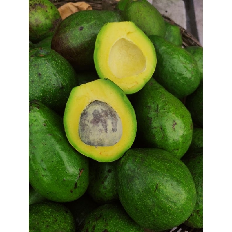 

Buah Alpukat mentega