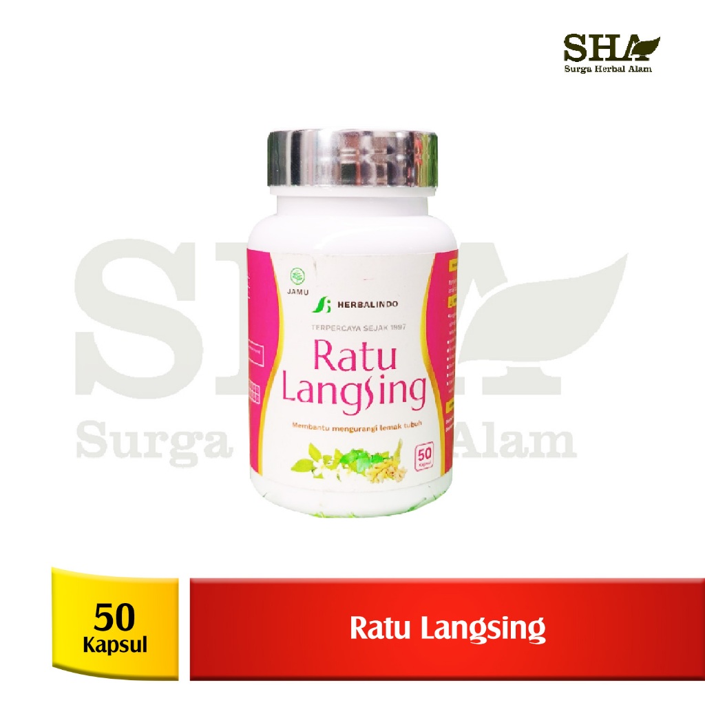 Ratu Langsing Pelangsing Alami | Herbal Alami Pelangsing BPOM | 60 Kapsul