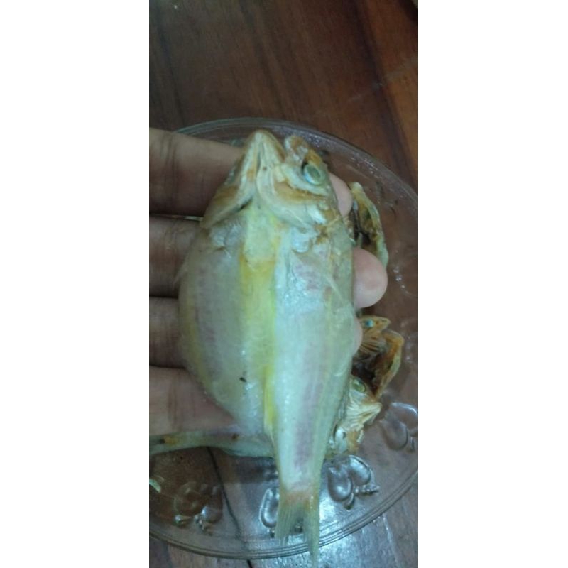 

ikan asin kuniran kecil