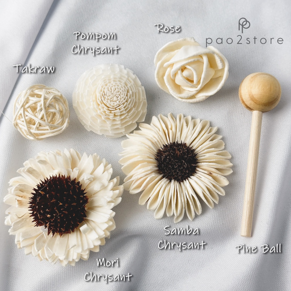 Promo Bunga Reed Diffuser  Sola Flower  Kering  Dried Klobot Wood  Ornamen  Hiasan  Aksesoris Pengha